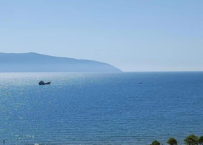 Clearwater Sea View 11 Minutes To Center 3 Minutes To Apartament